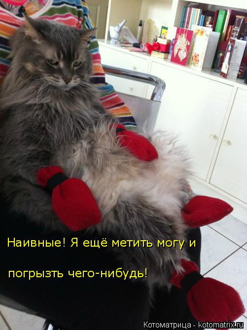 Котоматрица: Наивные! Я ещё метить могу и  погрызть чего-нибудь!