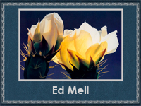 Ed Mell