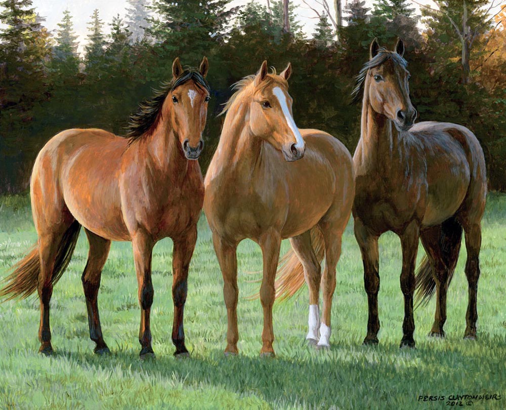Три лошадки. Персис Клейтон Вейерс лошади. Художница Персис Клейтон Вейерс кони. Персис Клейтон Вейерс картины лошадей. Живопись , persis Clayton, лошади.